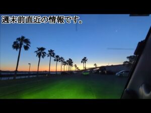 公園西側落ちキス速報【浜名湖釣り】🎣これはどう言う事なのか…？？