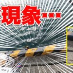 【紀州釣り】チヌ釣りの合間に起きた珍現象　一本針に２匹の魚が掛かった！【黒鯛釣り】【釣武者】