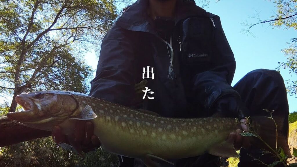 【渓流釣り】こんな所にデカいやつが…このルアー釣れるみたいです