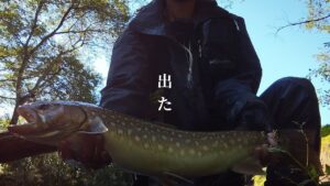 【渓流釣り】こんな所にデカいやつが…このルアー釣れるみたいです