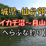 【へらぶな釣り】仙台郊外・サイカチ沼～月山池