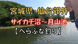 【へらぶな釣り】仙台郊外・サイカチ沼～月山池