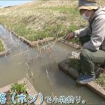 【小物釣り】千葉県 手賀沼の用水路（ホソ）で小物釣り。【淡水】