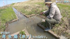 【小物釣り】千葉県 手賀沼の用水路（ホソ）で小物釣り。【淡水】
