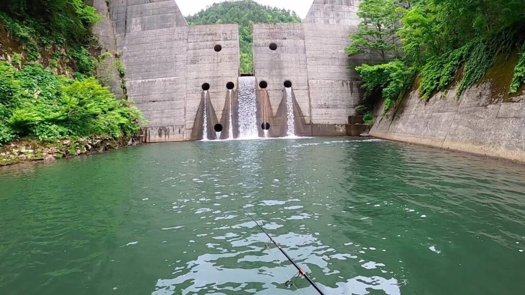 【渓流釣り】地元の人しか知らない山奥の砂防で・・・