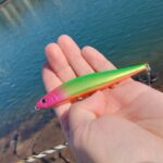 和歌山マリーナシティ付近で年内最後は海釣り！ウォーターランド シンペンソニックを使ってみた！