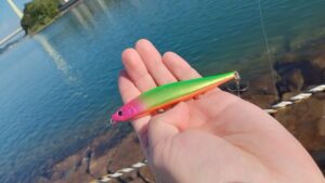 和歌山マリーナシティ付近で年内最後は海釣り！ウォーターランド シンペンソニックを使ってみた！