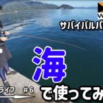 【実釣レビュー】ワークマンの新作ロッドを海釣りで使ってみた！