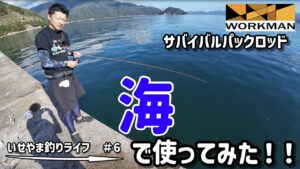 【実釣レビュー】ワークマンの新作ロッドを海釣りで使ってみた!