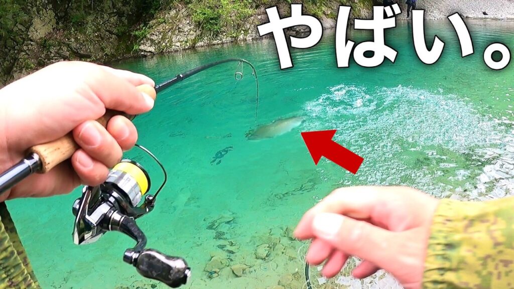 【悶絶タイムを攻略】真夏の管理釣り場で大物をねらえ！うらたんざわ渓流釣場釣行【エリアトラウト　管理釣り場　管釣り】