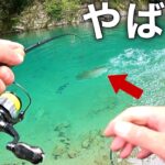 【悶絶タイムを攻略】真夏の管理釣り場で大物をねらえ！うらたんざわ渓流釣場釣行【エリアトラウト　管理釣り場　管釣り】