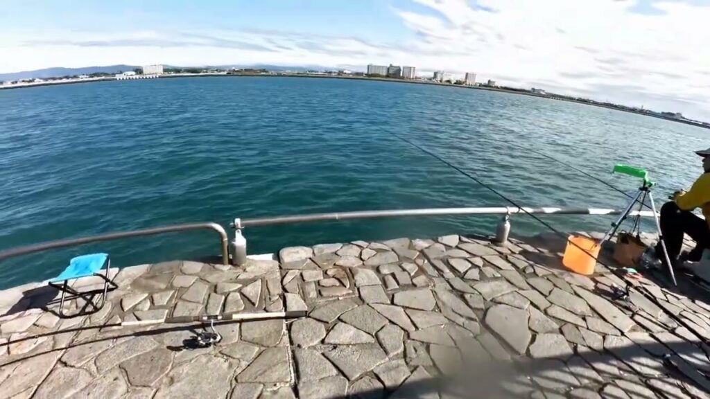 南浜名湖の釣り　アジ　マダイ釣れています