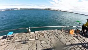 南浜名湖の釣り アジ マダイ釣れています