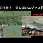 【大物炸裂】ダム湖のニジマス釣り