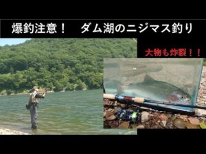 【大物炸裂】ダム湖のニジマス釣り