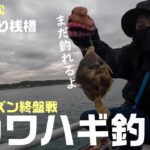 ショアからのカワハギ釣り　シーズン終盤戦の脇田海釣り桟橋