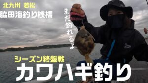 ショアからのカワハギ釣り シーズン終盤戦の脇田海釣り桟橋