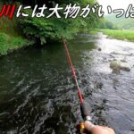 田舎の川にミミズを流すと大物がいっぱい喰い付いてきます！！