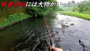 田舎の川にミミズを流すと大物がいっぱい喰い付いてきます！！