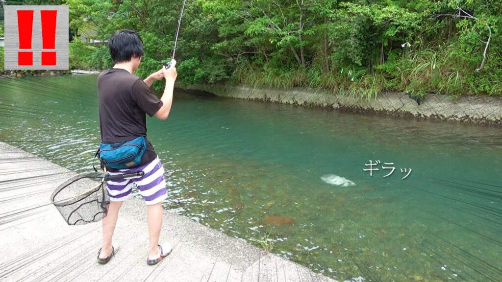 田舎の小川は、ポテンシャルがすごい！！！