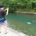 田舎の小川は、ポテンシャルがすごい！！！