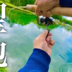 【大型爆釣】『聖地』と謳われる管理釣り場はやっぱり規格外だった…【エリアトラウト】【鹿島槍ガーデン】