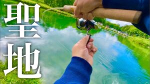 【大型爆釣】『聖地』と謳われる管理釣り場はやっぱり規格外だった…【エリアトラウト】【鹿島槍ガーデン】