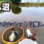 【ヘラブナ釣り】びん沼で短時間、力玉セット