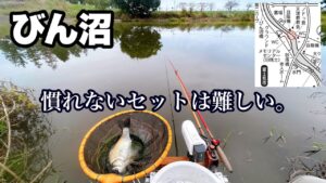 【ヘラブナ釣り】びん沼で短時間、力玉セット