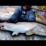 【神回超え】支笏湖モンスターブラウン