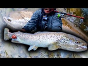 【神回超え】支笏湖モンスターブラウン