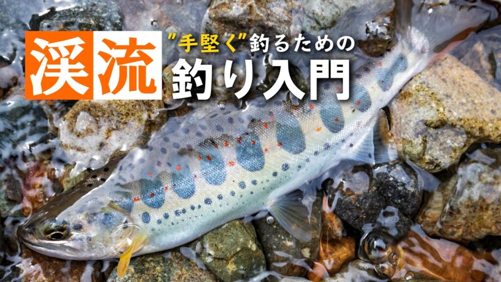 【手堅く釣る！】渓流釣り入門。仕掛けや道具、流し方を解説！