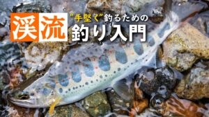 【手堅く釣る！】渓流釣り入門。仕掛けや道具、流し方を解説！