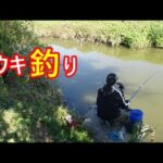 沼のような水路のようなポイントでウキ釣り