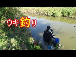 沼のような水路のようなポイントでウキ釣り