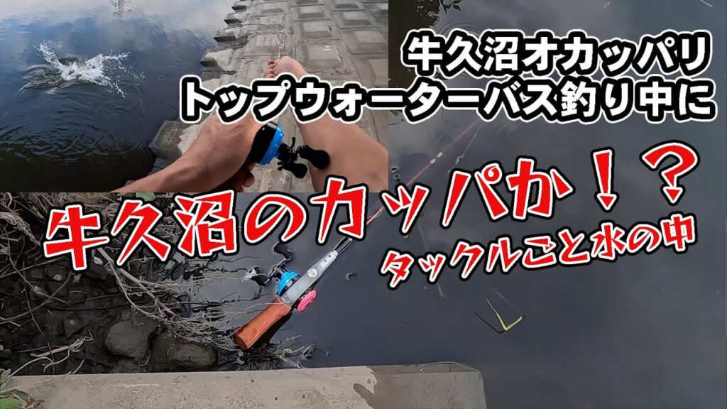 牛久沼でバス釣り中に。。