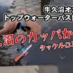 牛久沼でバス釣り中に。。