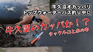 牛久沼でバス釣り中に。。