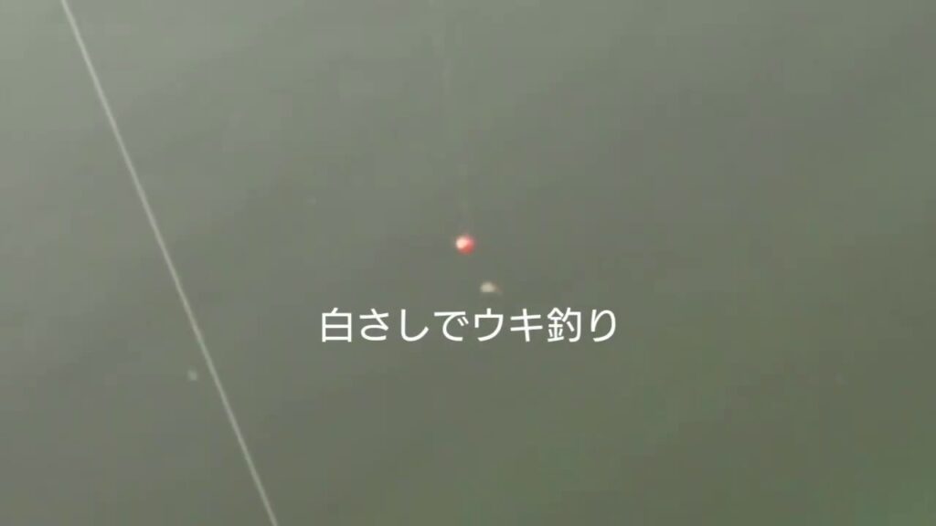 多々良沼で釣り。初めての白さしで何かが釣れる。