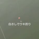 多々良沼で釣り。初めての白さしで何かが釣れる。