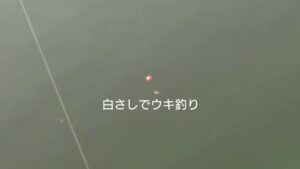 多々良沼で釣り。初めての白さしで何かが釣れる。