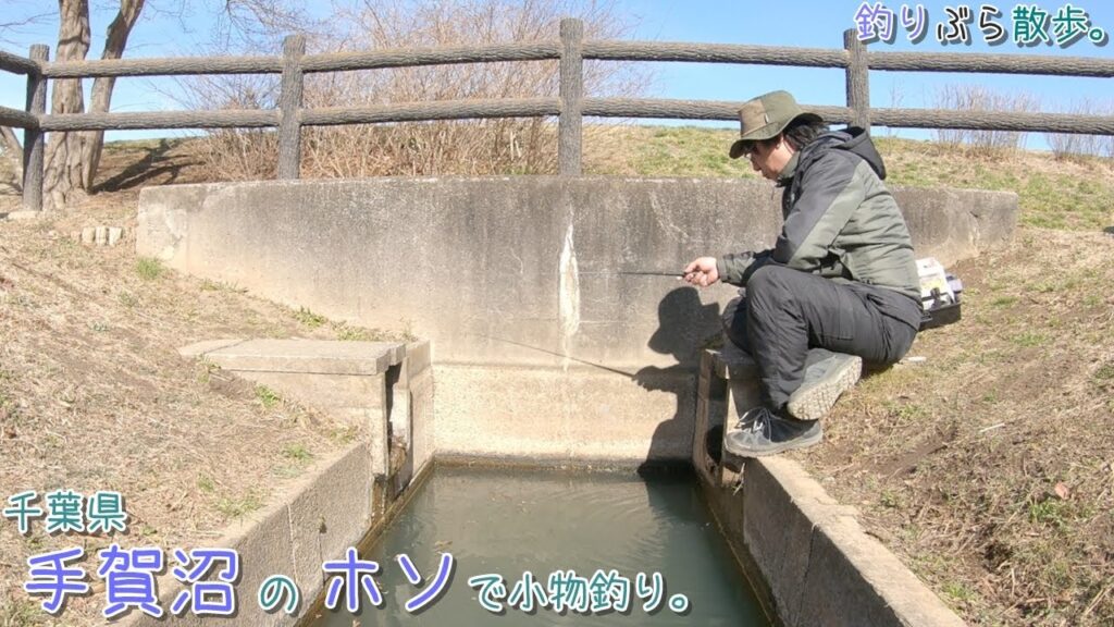 大人気の手賀沼のホソで何釣れる？   千葉県 手賀沼のホソで小物釣り。