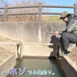 大人気の手賀沼のホソで何釣れる？   千葉県 手賀沼のホソで小物釣り。