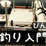 野釣り入門🔰びん沼編