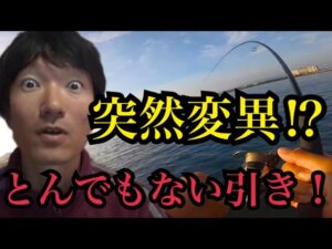 何だこいつ⁉浜名湖でダイソージギングしたら、とんでもない引きの目を疑う大物が⁉