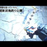 連戦早朝朝マヅメ青物狙い【浜名湖釣り】🎣今週の結果は…🐟