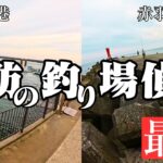【遠州灘堤防偵察】最超有名釣り場ポイント🐟堤防までのルート＋最新の釣果など(伊良湖港、赤羽根漁港、田原サーフ、伊良湖サーフ)