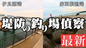 【遠州灘堤防偵察】最超有名釣り場ポイント🐟堤防までのルート+最新の釣果など(伊良湖港、赤羽根漁港、田原サーフ、伊良湖サーフ)