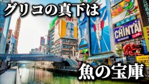 道頓堀川で魚がめちゃくちゃ釣れた