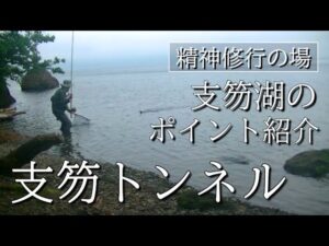 支笏湖の有名釣りポイント紹介vol.2【支笏トンネル】エントリー場所が分からない初心者向け。6月はセミの季節！現地を知れば明日にも行ける！